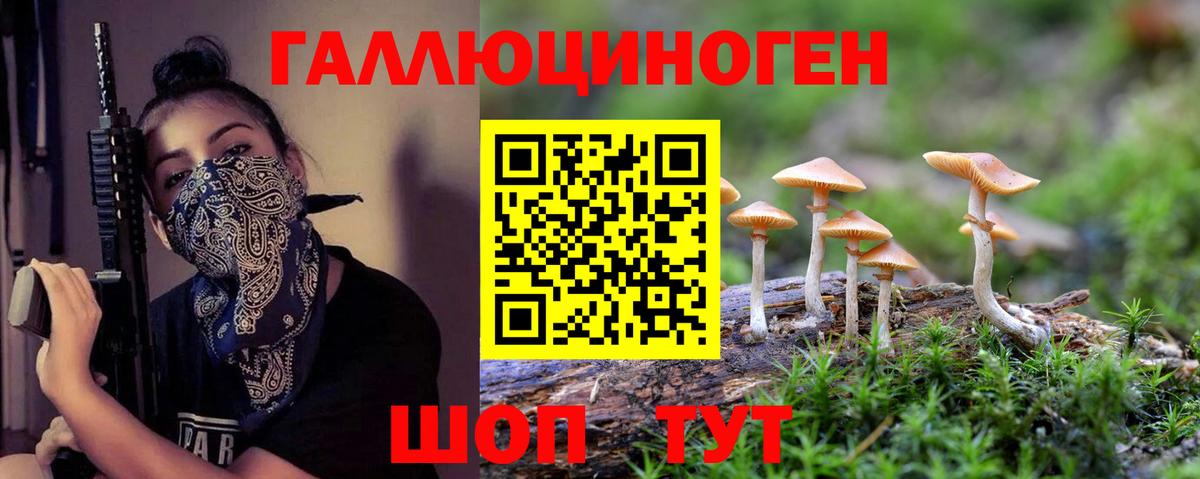Галлюциногенные грибы MAGIC MUSHROOMS  Вход с VPN  Галлюциногенные грибы MAGIC MUSHROOMS  Ногинск 